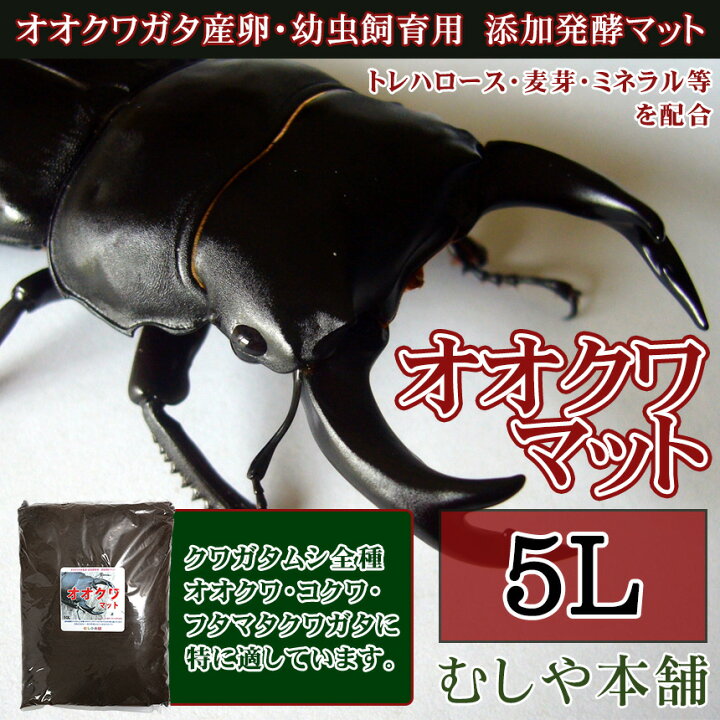 楽天市場 むしや本舗 オオクワ マット 5l 添加発酵マット オオクワガタ産卵 幼虫飼育 成虫飼育 クワガタマット むしや本舗