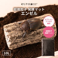 むしや本舗 カブトムシ産卵専用マット エンゼル カブトムシ かぶとむし幼虫 えさ マット 産卵 昆虫 ペッ…