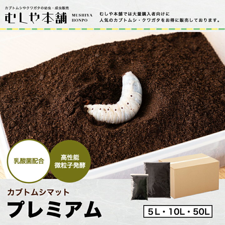 楽天市場】『エントリーでポイント10倍！』むしや本舗 高級発酵 