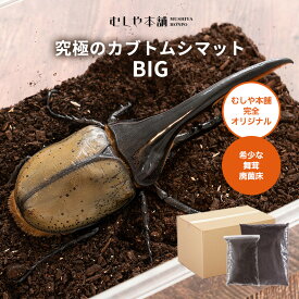 むしや本舗 高カロリー! 廃菌床発酵 カブトムシ マット BIG 昆虫マット カブトムシマット 完熟マット かぶとむし 幼虫のエサ ヘラクレス幼虫のエサ 廃菌床 発酵 幼虫 餌 えさ 国産 外国産 カブトムシ ペット用品