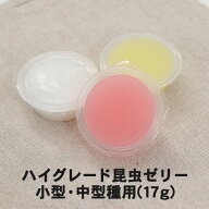 むしや本舗 ハイグレード昆虫ゼリー 小型・中型種用 17g カブトムシ成虫 クワガタ成虫 成虫 カブトムシ …
