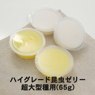 むしや本舗 ハイグレード昆虫ゼリー 超大型種用 65g カブトムシ成虫 クワガタ成虫 エサ 餌 ペット 昆虫ゼ…