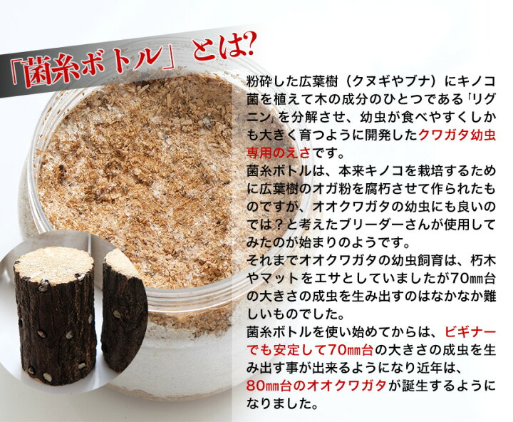 送料無料 菌糸ビン クワガタ幼虫のえさ 幼虫 クワガタ バイオパワーカズ 送料無料 菌糸ビン クワガタ幼虫のえさ 幼虫 クワガタ バイオパワーカズ