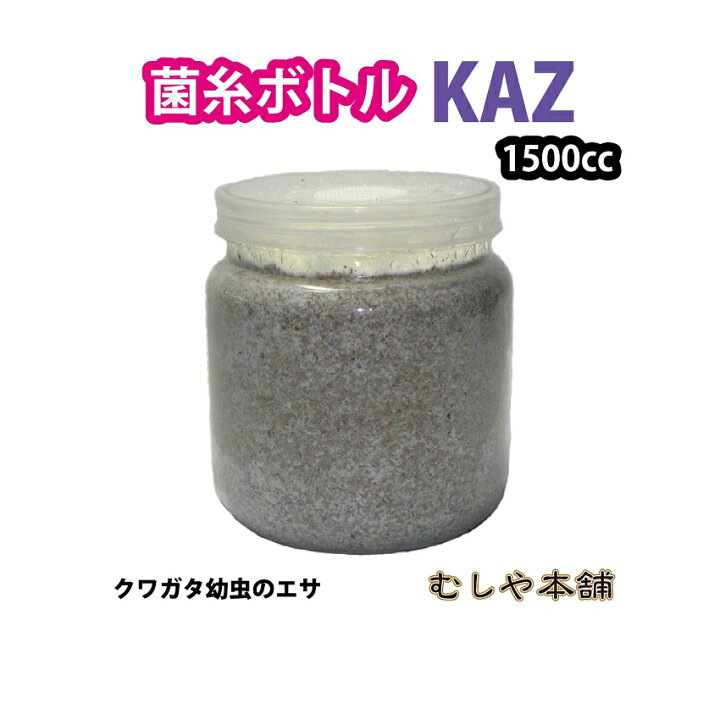 楽天市場】むしや本舗 トレハロース入り菌糸ボトル バイオパワーKAZ 