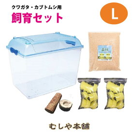 むしや本舗 カブトムシ・クワガタ成虫 飼育セット 飼育ケース Lサイズ 虫かご 昆虫ケース 飼育容器 カブトムシ クワガタ 成虫 飼育 ケース 容器 マット ゼリー 木 オス メス ペア 子供 初心者 夏休み 趣味 自由研究 プレゼント 選べるサイズ
