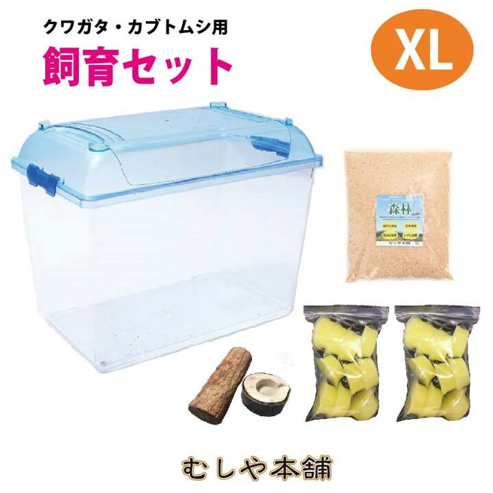 楽天市場】むしや本舗 カブトムシ・クワガタ成虫 飼育セット 飼育 