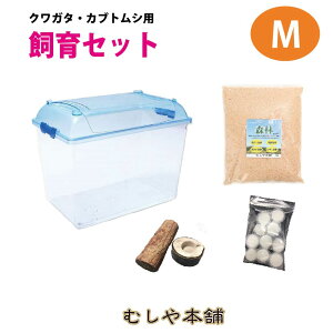 昆虫飼育用品 クワガタ 飼育セットの人気商品 通販 価格比較 価格 Com