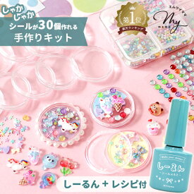【予約販売】カプセルシール 手作りキット しーるん レシピ 付き ゆうパケット送料無料 ■ 30個 セット 簡単 初心者 レジン不要 トークンカプセル ホルダー 子ども シール カプセル クリア プラスチック ケース シール帳 知育 イベント ハンドメイド ■