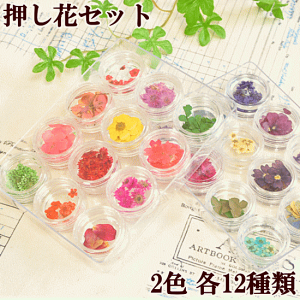 Uv クラフト レジン ドライフラワーの通販 価格比較 価格 Com