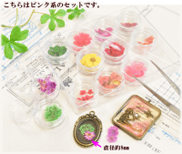 押し花セットレジンパーツ《ドライフラワーレジンUVレジンレジン液uvクラフトアクセサリーパーツ手芸》