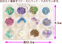 押し花セットレジンパーツ《ドライフラワーレジンUVレジンレジン液uvクラフトアクセサリーパーツ手芸》