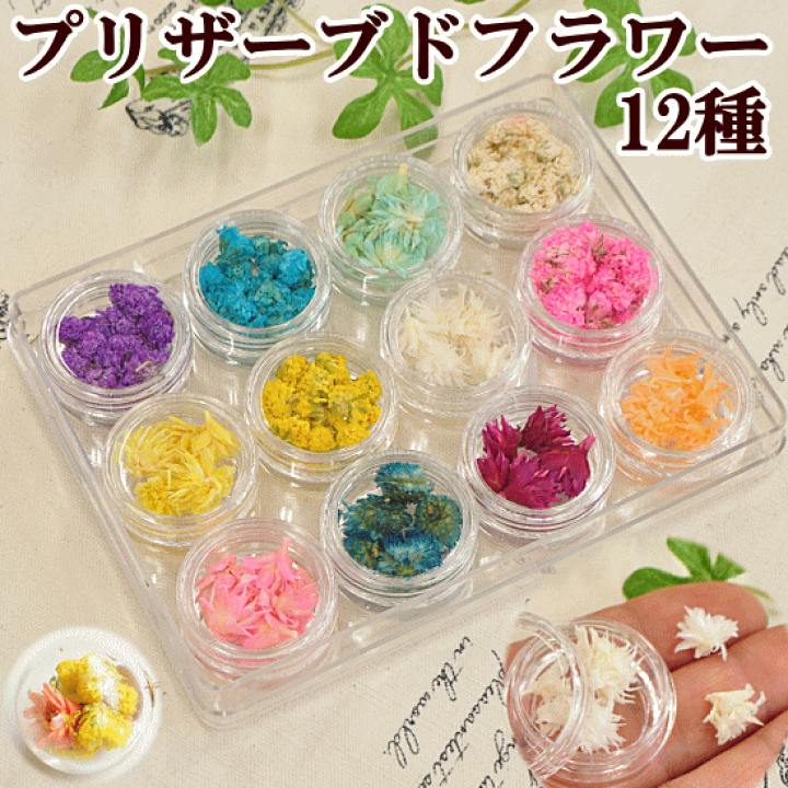 楽天市場 完売しました ブリザーブドフラワー 12種 アソートセット ドライフラワー ハーバリウム ネイル 花 封入パーツ レジン Uvレジン レジン液 Uv クラフト アクセサリーパーツ ハンドメイド 手芸 手作り 手作り工房 ｍｙ ｍａｍａ