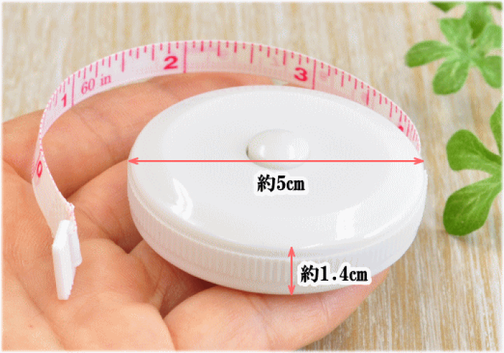 楽天市場】【先着200円OFFクーポン】【卸売り】10個販売 メジャー(1.5