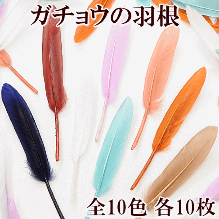 楽天市場】【新規様クーポン配布】羽根 単品 10枚セット 楽天市場】【新規様クーポン配布】羽根 単品 10枚セット