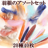 羽根のアソートセット20種40枚セット《天然はねフェザーアクセサリーパーツ材料チャームネックレスイヤリングピアスキーホルダーハンドメイド手芸手作り》