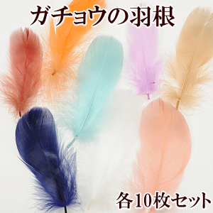 H Pi 10Zbg S12F 7cm×14cm K`E  Rf VR tFU[ H ͂ nl ߑ  hX `[ RT[W ANZT[ p[c ޗ CO sAX lbNX wb
