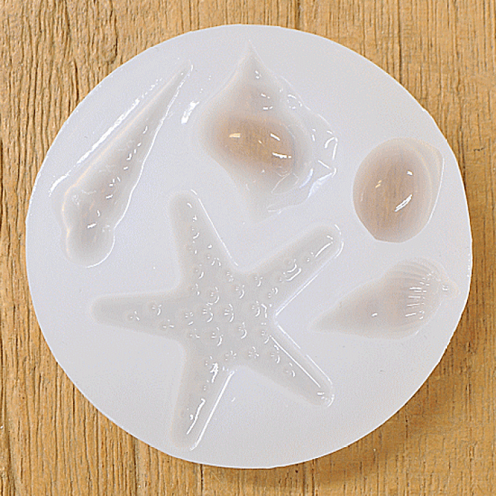 楽天市場】貝殻 ヒトデ ミニの通販 ヒトデ ミニヒトデ 小さいヒトデ