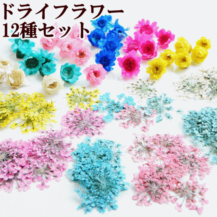 最安値級価格 天然花 押し花 ハンドメイド デコパーツ ドライフラワー レジン Diy ネイル 押し花アート 装飾 乾燥シート 手芸 パーツ ブリザードフラワー 乾燥花 花材 10枚