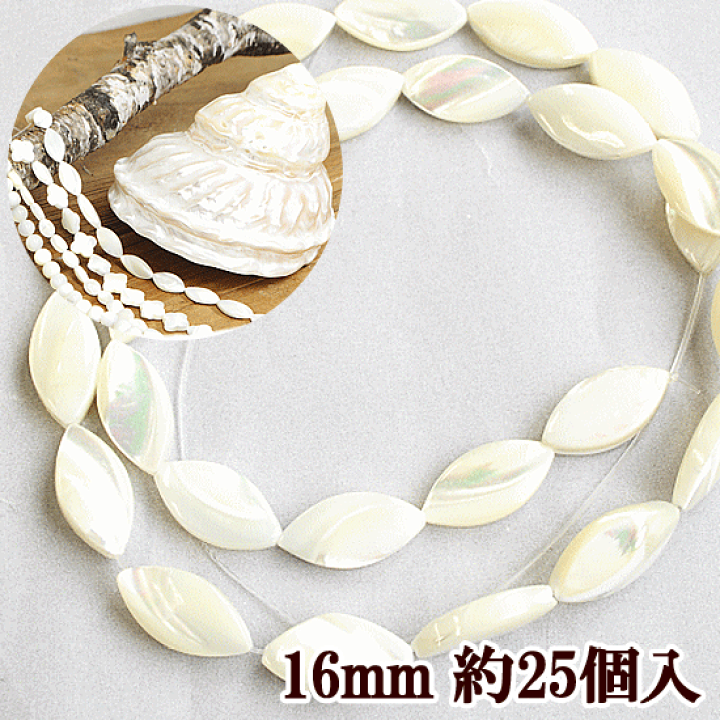楽天市場】【クーポン配布中】天然 ニシキウズ貝 リーフ 16mm 25