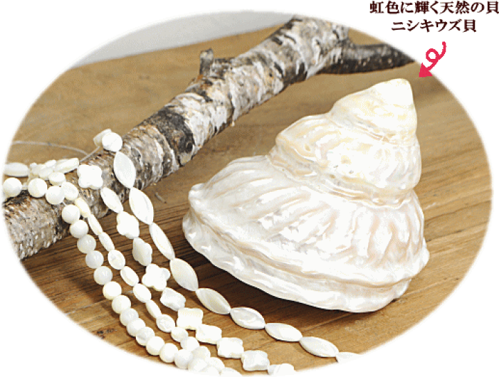 楽天市場 天然 ニシキウズ貝 リーフ 16mm 25個 錦渦貝 本物 貝 シェル 穴あり 1連 40cm 葉 ビーズ ブレスレット ネックレス アクセサリー ビーズ パーツ チャーム イヤリング セット ピアス ハンドメイド 手芸 手作り 手作り工房 ｍｙ ｍａｍａ