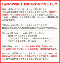 【110×100cmカット済】お一人様1点迄国産ダブルガーゼ無地全11色《生地ガーゼ布Wガーゼ晒ホワイト白クリーム生成りピンクミント薄緑水色サックス薄紫ラベンダーパープルグリーングレー灰色綿カス残しそばかすお値打ち》