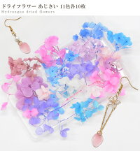 ドライフラワーあじさい11色各約10枚セット《紫陽花茎枝ハーバリウムプリザーブドフラワーレジン封入アクセサリーネックレスピアスアロマアートフラワー花クラフトフラワーアレンジメントインテリアハンドメイド手芸花材》