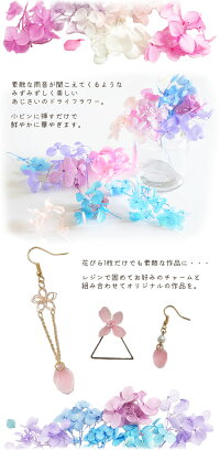 ドライフラワーあじさい11色各約10枚セット《紫陽花茎枝ハーバリウムプリザーブドフラワーレジン封入アクセサリーネックレスピアスアロマアートフラワー花クラフトフラワーアレンジメントインテリアハンドメイド手芸花材》