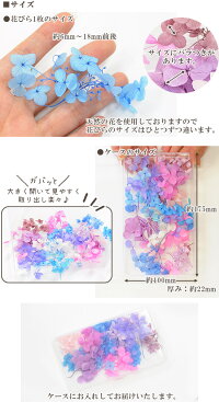 ドライフラワーあじさい11色各約10枚セット《紫陽花茎枝ハーバリウムプリザーブドフラワーレジン封入アクセサリーネックレスピアスアロマアートフラワー花クラフトフラワーアレンジメントインテリアハンドメイド手芸花材》