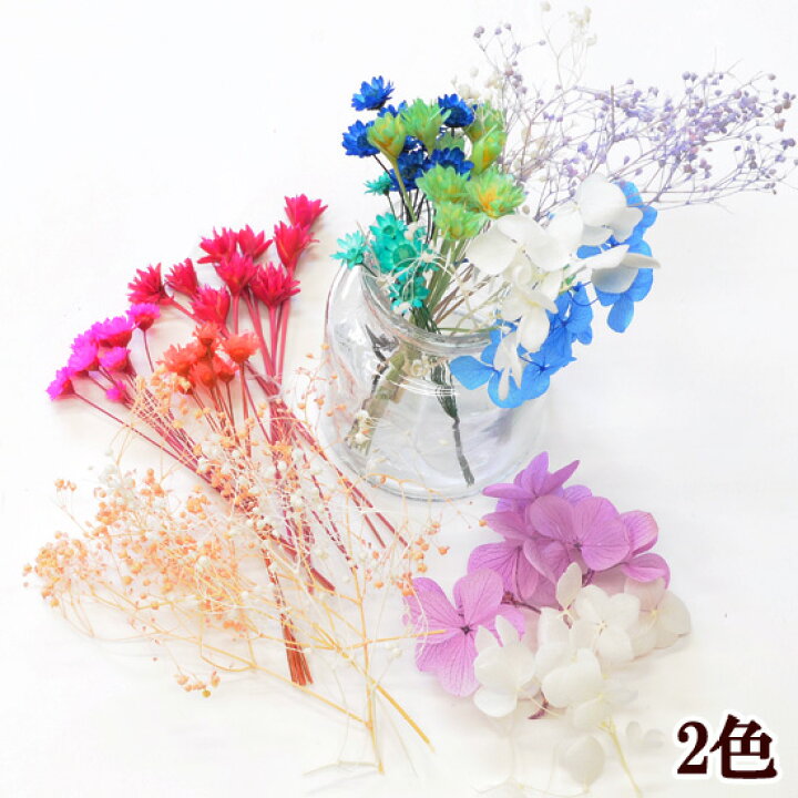 楽天市場】（完売しました） 茎付き ドライフラワー セット 全2色  