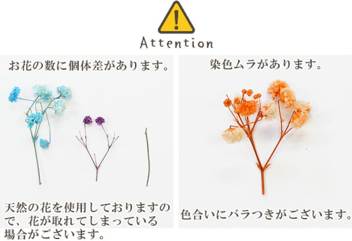 楽天市場 少々難あり現品限り ミニ ドライフラワー 12種類 アソートセット ケース付き スターフラワー かすみ草 茎 枝 スワッグ ハーバリウム ブリザーブドフラワー レジン 封入 アクセサリー アロマ 花 インテリア ハンドメイド 手芸 花材 手作り工房 my 楽天市場 少々難あり現品限り ミニ ドライフラワー 12種類 アソートセット ケース付き スターフラワー かすみ草 茎 枝 スワッグ ハーバリウム ブリザーブドフラワー レジン 封入 アクセサリー アロマ 花 インテリア ハンドメイド 手芸 花材 手作り工房 my