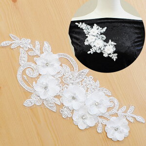 yő1,000~OFFN[|zhJ XpR[ `[t 24.5cm 1  by `[ [X  ItzCg r[Y CXg[ rW[  ޗ Xp LL |Cg EFf