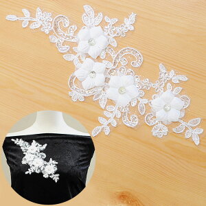 yő1,000~OFFN[|zhJ XpR[ `[t 25.5cm 1  by `[ [X  ItzCg r[Y CXg[ rW[  ޗ Xp LL |Cg EFf