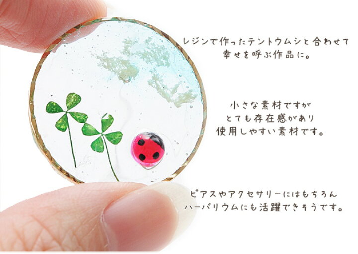 楽天市場 幸せを呼ぶ 四葉のクローバー 10枚 ドライフラワー リアル 本物 四つ葉 茎 ハーバリウム レジン 封入 アクセサリー ネックレス ピアス アロマ アートフラワー インテリア ハンドメイド 花材 手作り工房 ｍｙ ｍａｍａ