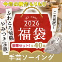 【最大1,000円OFFクーポン】2026 福袋 手芸 ソーイング 宅配送料無料 MYmama ■ 生地 レース タグ キット 副資材 手芸…