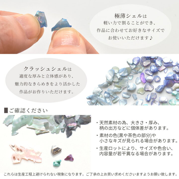 楽天市場】シェル フレーク 2種 計12個 セット 極薄 クラッシュ□ 天然 