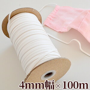 y撅150~OFFN[|zyKi戵XzyzO䉻w eNm[g `ێ 4mm 100m  ܂Ƃߔ vp e m[YC[ 1  }XN }XNp `ێe