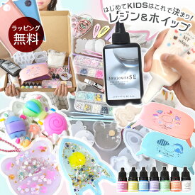 レジン & ホイップ よくばり スターターセット キッズ 向け ラッピング 無料 レシピ 付き ■ キット おもちゃ 男の子 女の子 子ども UVレジン シリコンモールド メイキングトイ アクセサリー 誕生日 クリスマス プレゼント ■