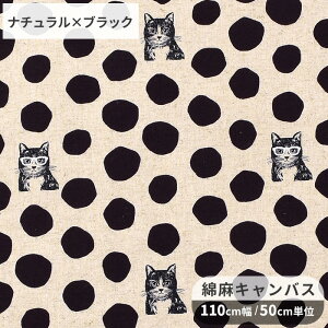 echino G`m L ȖLoX n NekoNoe CAT  RbJ kokka lRmG lR ˂ Lbg ዾ Kl hbg   Aj}    LoX Rbg l n[tl z 