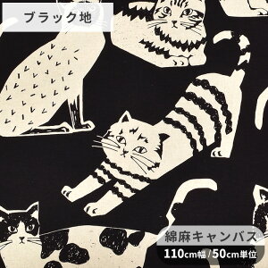 echino G`m L 啿 ȖLoX n NekoNoe CATCAT  RbJ kokka 傫 lR ˂ Lbg Aj}  ÉƉxq   LoX Rbg l n[tl z Y { n