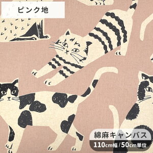 y撅150~OFFN[|zechino G`m L 啿 ȖLoX n NekoNoe CATCAT  RbJ kokka 傫 lR ˂ Lbg Aj}  ÉƉxq   LoX Rbg l n[t