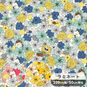 y撅150~OFFN[|z ~l[g n ˂  Ch t[  ԕ  L lR  Rbg ΂₵ u[h rj[R[eBO rjR ~l[gH |[` ob