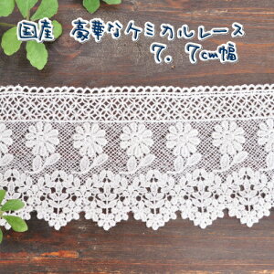 yő1,000~OFFN[|zP~J[X 1mP 7.7cm  P~J[X [[X ItzCg  `[t | Y [X Jgi[W 