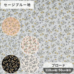 y撅150~OFFN[|zu[h n NRbg g vZX  ԕ  t[ SEVENBERRY  Rbg ȃJX c Vc uEX m Gv CeA z Y nh