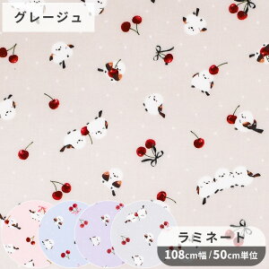  ~l[g n V}GiK &    Ƃ TN{ `F[ t[c  Aj}  Y  Rbg rj[R[eBO ~l[gH rjR |[` 