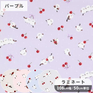  ~l[g n V}GiK &    Ƃ TN{ `F[ t[c  Aj}  Y  Rbg rj[R[eBO ~l[gH rjR |[` 