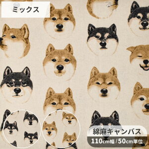 Ȗ LoX n Big face ΂   Aj}  dog Ck Č  傫  啿   킢 菑  Rbg  l z obO |[`  CeA Gv