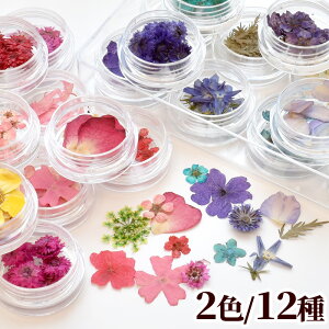 レジン クラフト 押し花の人気商品 通販 価格比較 価格 Com