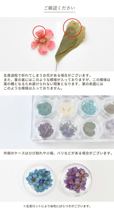 楽天市場】押し花セット レジンパーツ 《 ドライフラワー レジン UV 