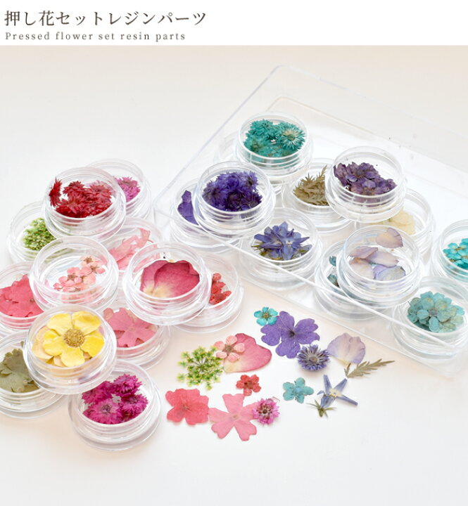 楽天市場 押し花セット レジンパーツ ドライフラワー レジン Uvレジン レジン液 Uv クラフト アクセサリーパーツ 手芸 ハンドメイド 手作り工房 my mama 楽天市場 押し花セット レジンパーツ ドライフラワー レジン Uvレジン レジン液 Uv クラフト アクセサリーパーツ 手芸 ハンドメイド 手作り工房 my mama