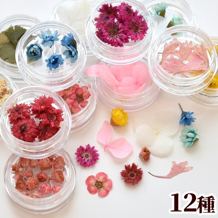 楽天市場 お花 の アソートセット 12種 花 花材 押し花 紫陽花 あじさい 封入 小分け パーツ ドライフラワー プリザーブドフラワー ピアス イヤリング ジェル ネイル デコ パーツ ハーバリウム ガラスドーム レジン Uvレジン レジン液 ハンドメイド 手作り